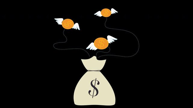 Flying Gold Coins into Money Bag Animation Wealth Growth Loop with Alpha Channel