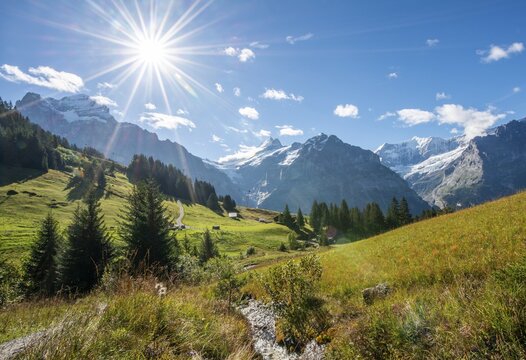 Small stream in bright sunshine, snow-covered Schreckhorn, Wetterhorn and Eiger in the back, Grindelwald, Bern, Switzerland
