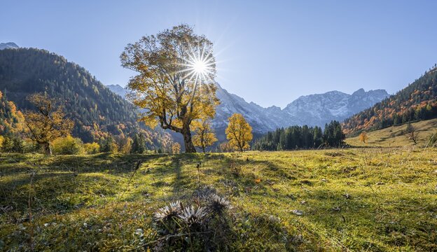Sun star, Karwendel and Gro&szlig;er Ahornboden in autumn, yellow sycamore, Ri&szlig;tal in der Eng, Tyrol, Austria