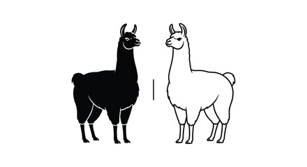 Fototapeta premium Llamas vs Alpacas: Unique Wool Animals Comparison Vector