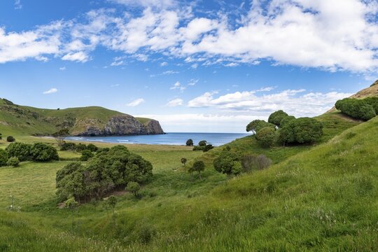 Hickory Bay, Banks Peninsula, Akaroa, near Christchurch, Canterbury, South Island, New Zealand