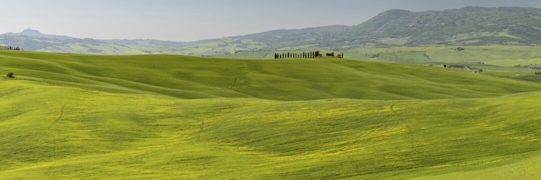 Landscape around Pienza, Val dOrcia, Orcia Valley, UNESCO World Heritage Site, Siena Province, Tuscany, Italy