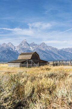 Historic old barn in front of the Teton Range, T.A. Moulton Barn, Mormon Row Historic District, Grand Teton National Park, Wyoming, USA