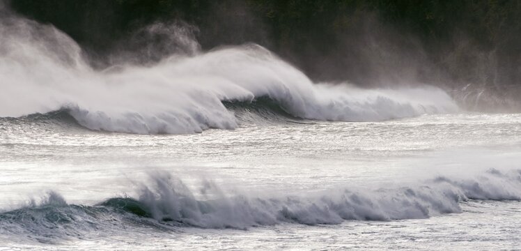 Strong swell, waves breaking on the sea, Sandfly Bay, Dunedin, Otago region, Otago Peninsula, Southland, New Zealand