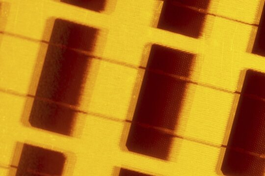 Solar cell on the solar tree in Ulm's Solar City residential district, Ulm, Baden-W&uuml;rttemberg, Germany