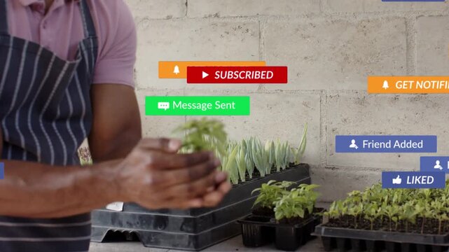 Gardener selecting seedling and presenting roots for demo while social overlays obscuring hands