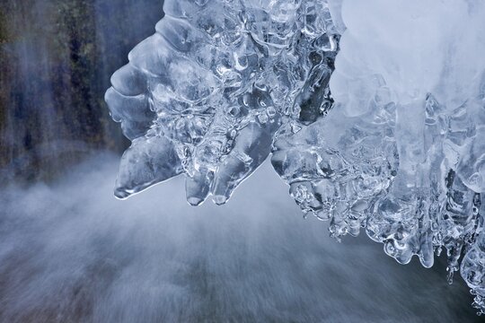 Ice formations along a stream in Steinwandklamm Ravine, Lower Austria, Austria, Europe