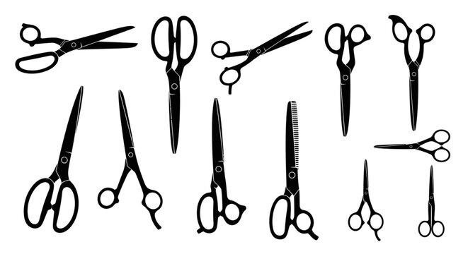 Collection of Scissors in Various Styles.
