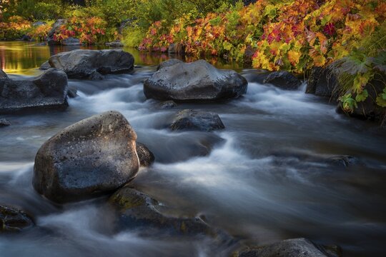 Autumn vegetation on the McCloud River, colorful leaves, long term photo, Siskiyou County, California, USA