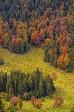 Colourful autumn landscape in the Ri&szlig;tal, mixed forest in autumn, Gro&szlig;er Ahornboden, Engalpe, Eng, community Hinterri&szlig;, Karwendel Mountains, Alpenpark Karwendel, Tyrol, Austria