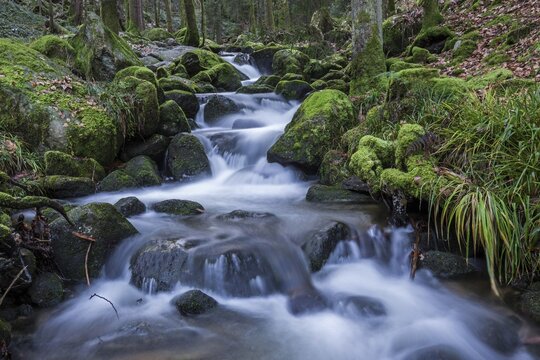 Gertelbach, Gertelbach Falls, Gertelbach Gorge, B&uuml;hl, B&uuml;hlertal, Northern Black Forest, Black Forest, Baden-W&uuml;rttemberg, Germany