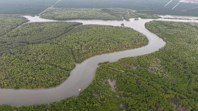 Aerial drone view of winding mangrove river estuary