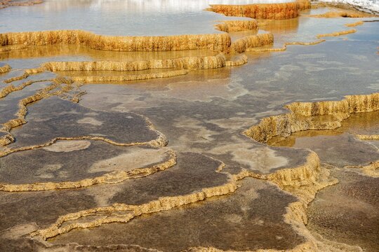 Sinter terraces, hot springs, orange mineral deposits, Palette Springs, Upper Terraces, Mammoth Hot Springs, Yellowstone National Park, Wyoming, USA