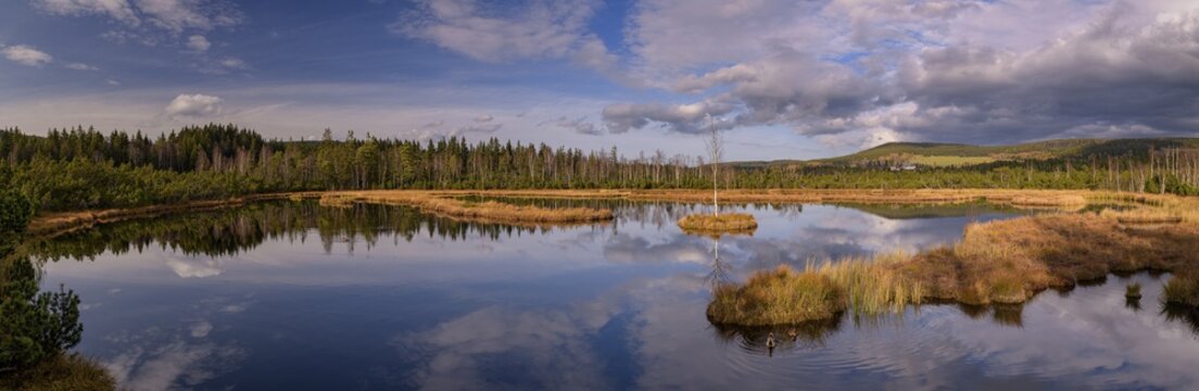 Chalupska slat bog, Great King's Felt with bog lake, Sumava National Park, &Scaron;umava, Czech Republic