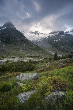 Evening mood, mountain pines, mountains on the Berliner H&ouml;henweg, left mountain peak Steinmandl right Gro&szlig;er M&ouml;seler, Waxeggkees glacier, Zillertal Alps, Zillertal, Tyrol, Austria