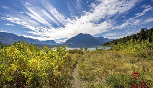 Hiking trail through autumn coloured bushes, Saint Mary Lake lakeshore, mountains behind, Glacier National Park, Rocky Mountains, Montana, USA