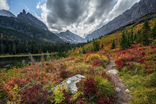 View of Lone Walker Mountain and Mount Rockwell with bushes in fall colors, hiking to Upper Two Medicine Lake, Glacier National Park, Montana, USA