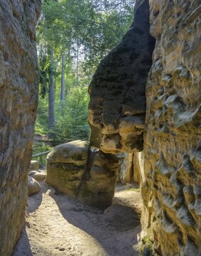 Prachovsk&eacute; Rocks, Prachovsk&eacute; sk&aacute;ly, Hol&iacute;n, Kr&aacute;lov&eacute;hradeck&yacute; kraj, Czech Republic