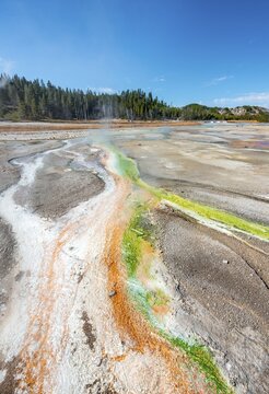 Red mineral deposits and green algae at a thermal spring, steaming hot springs, Noris Geyser Basin, Yellowstone National Park, Wyoming, USA