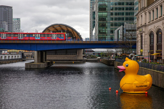 Duck Buoy on North Dock in London Docklands