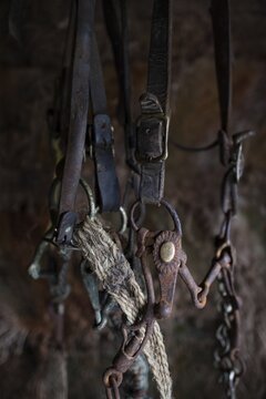 Old rusty bridle, L&yacute;tingssta&eth;ir, North Iceland, Iceland