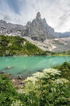 Turquoise-green Sorapis lake with flowers, Lago di Sorapis and mountain top Dito di Dio, Dolomites, Belluno, Italy