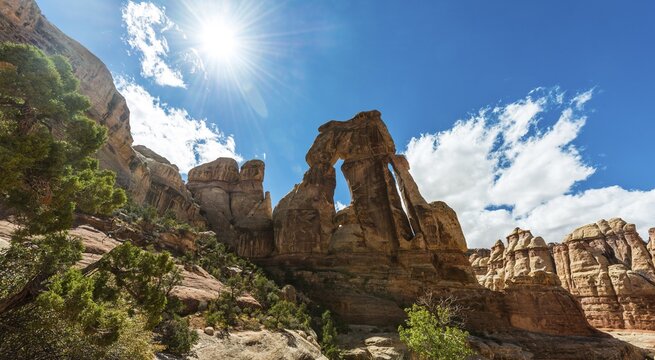 Druid Arch, Rock Formation, Stone Arch, Elephant Canyon, The Needles District, Canyonlands National Park, Utah, USA, USA