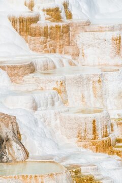 Sinter terraces with calcareous tuff deposits, hot springs, colorful mineral deposits, Palette Springs, Lower Terraces, Mammoth Hot Springs, Yellowstone National Park, Wyoming, USA
