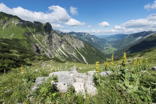 View of Hinterstein, Allg&auml;u Alps, View of a valley, Bad Hindelang, Allg&auml;u, Bavaria, Germany