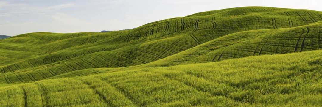Landscape at sunrise around Pienza, Val dOrcia, Orcia Valley, UNESCO World Heritage Site, Siena Province, Tuscany, Italy