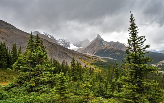 View of mountains and glaciers, Mount Athabasca and Hilda Peak in autumn, Parker Ridge, Icefields Parkway, Jasper National Park National Park, Canadian Rocky Mountains, Alberta, Canada