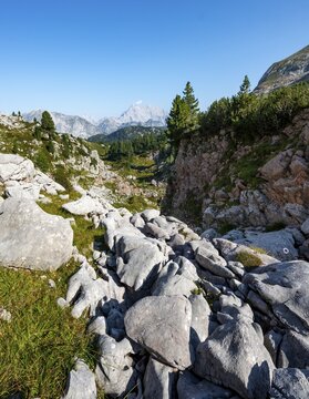 Karst landscape, behind Watzmann, Steinernes Meer, Funtenseetauern, Berchtesgaden National Park, Berchtesgadener Land, Upper Bavaria, Bavaria, Germany
