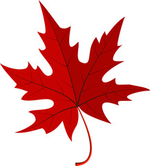 Fototapeta premium autumn leaves icon