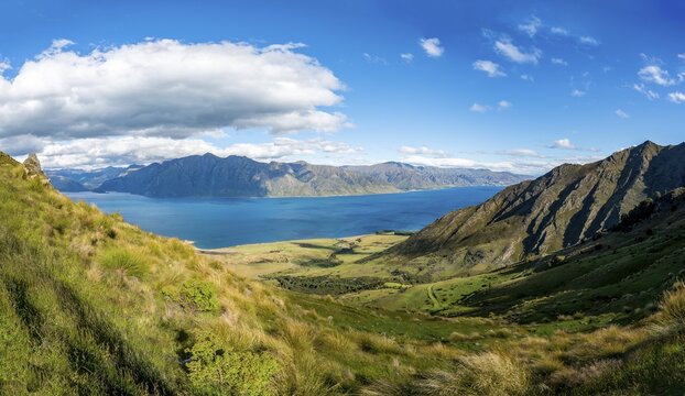 View of Lake Hawea, lake and mountain landscape, view from the hiking trail to Isthmus Peak, Wanaka, Otago, South Island, New Zealand