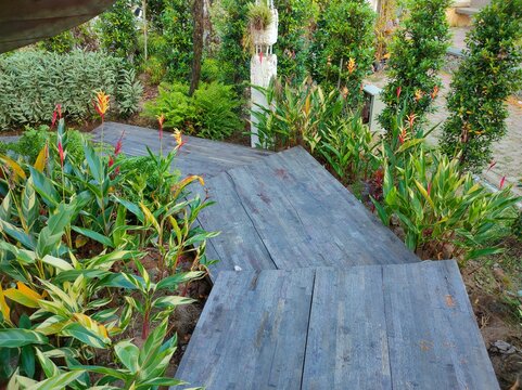 Wooden plank pathway surrounded by lush tropical plants and colorful heliconia flowers.  