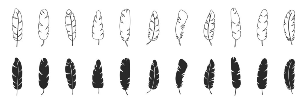 Feather icon set, bird plume and quill symbols, nature decorative elements, silhouette shapes on transparent background