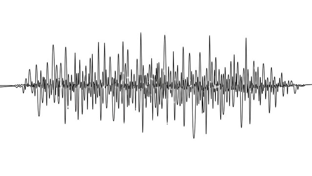 Sound Waveform Visual Representation in Black and White