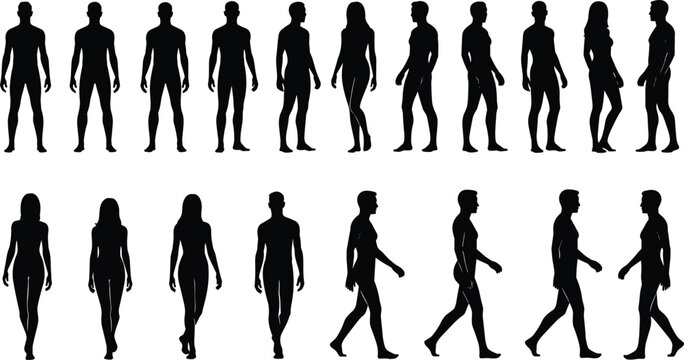 Human body silhouettes set in walking and standing poses, male and female figures collection, anatomy reference shapes black vector illustration isolated on white
