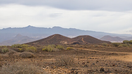 Naklejka premium Shrubland and mountains of Malpais de Rasca, Tenerife, Canary islands, Spain 