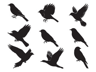 Fototapeta premium Set of Bird Silhouettes in Different Poses, Perching and Flying Songbirds Collection