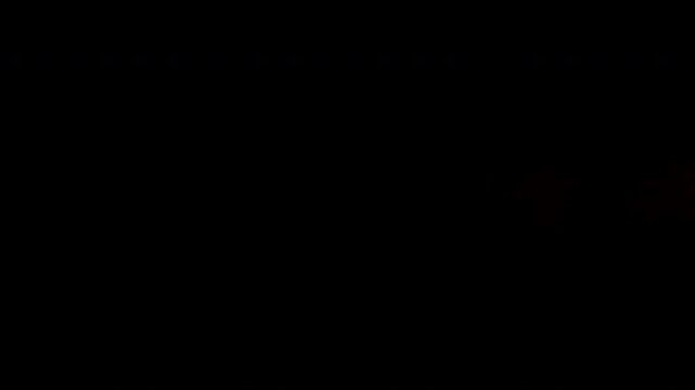 VFX Fireball 5 Seconds Shot Straight direction 30fps Angle5