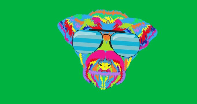 Digital animation of rainbow dog icon wearing sunglasses against black background