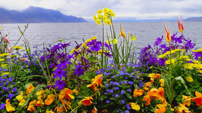 &uuml;ppig bl&uuml;hendes blumenbeet mit fr&uuml;hlingsblumen
