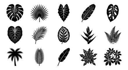 Tropical leaf silhouettes set, 15 black jungle plant icons, exotic monstera and palm foliage vector elements for summer branding and botanical design © Shihab