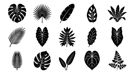 Tropical leaf silhouettes set, 15 black palm and monstera foliage icons, exotic botanical vector elements for summer design © Shihab