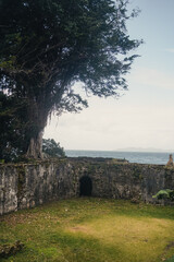 Ancient stone fort ruins with ocean view and lush tree © Raja Munzir