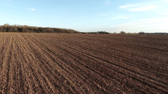 Plowed field brown soil with furrows across farmland near forest edge. Agricultural land prepared for planting with clear tillage lines. Farming landscape with soil texture and open sky