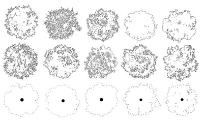 Vector set of trees in plan view for use in architectural drawings © Manon