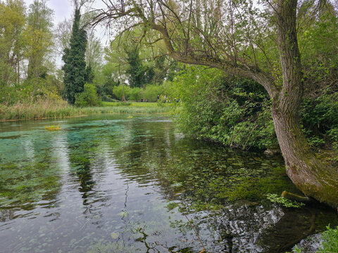 A panoramic view of the "Sorgenti del Pescara" nature reserve. The image shows the remarkably transparent turquoise waters of the springs, surrounded by lush green vegetation