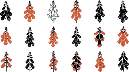 Collection of digitalis foxglove flower in black and terracotta orange plant botanical © GT Designs